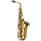 YANAGISAWA WO Series Professional Alto Saxophone Gold-lacquered Finish