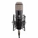 TOWNSEND LABS INC SPHERE L22 Dual Capsule Microphone W/mic Modeling